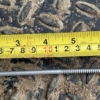 Evoshield Wing Tip  Self Drilling Screws C1022 5.5mm x 200 ( New ) - Image 3
