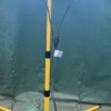 LAP LED Work Light With Tripod 2 x 20W 220-240V (New) - Image 2